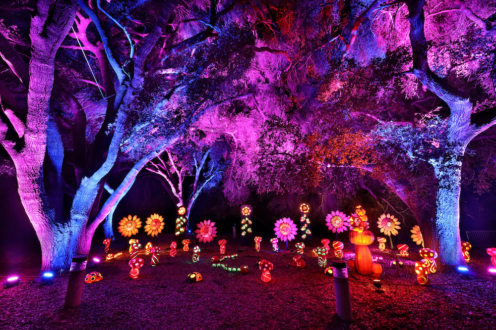Things To Do This Week in Los Angeles [9-28-2026 to 10-2-2026]