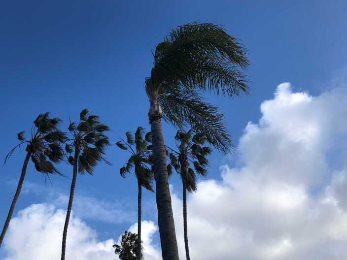 Hot weather and winds raise California wildfire threat as power shutoffs start